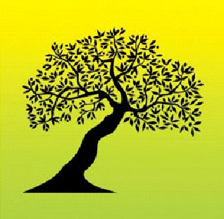 Bio Kalamata logo